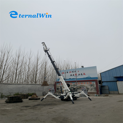 電動とディーゼルパワー 5 トンのスパイダークレーン 12 トンの持ち上げ能力